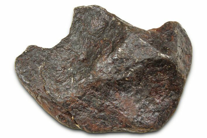 Canyon Diablo Iron Meteorite ( g) - Arizona #381941